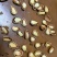 原味开口松子850粒货源充足量大从优欢迎咨询