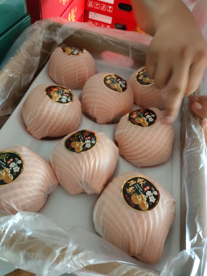 秋月梨，产地供货，果型端正，肉汁细腻，糖份高，货源充