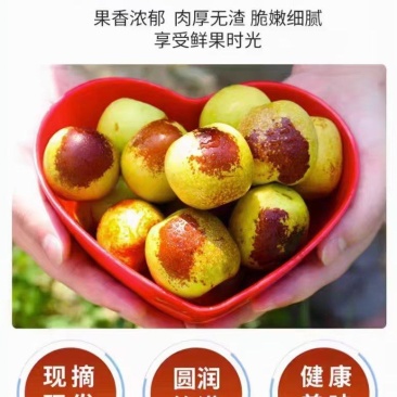 沾化大棚冬枣