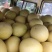 蜜柚3红蜜柚红柚白柚大量上市