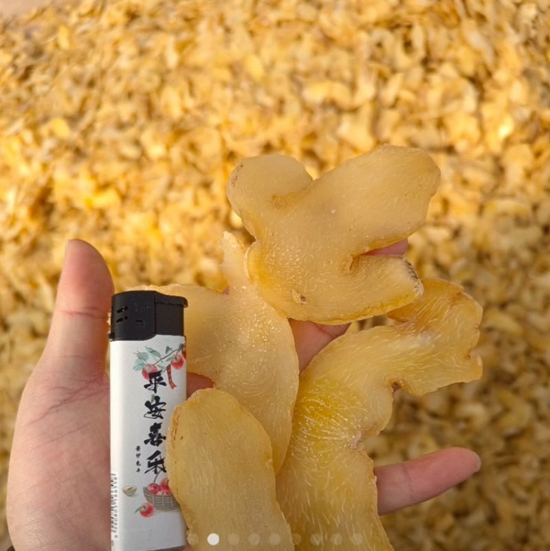 四川精品鸡头黄精，产地一手货源，规格多样可选量大从优