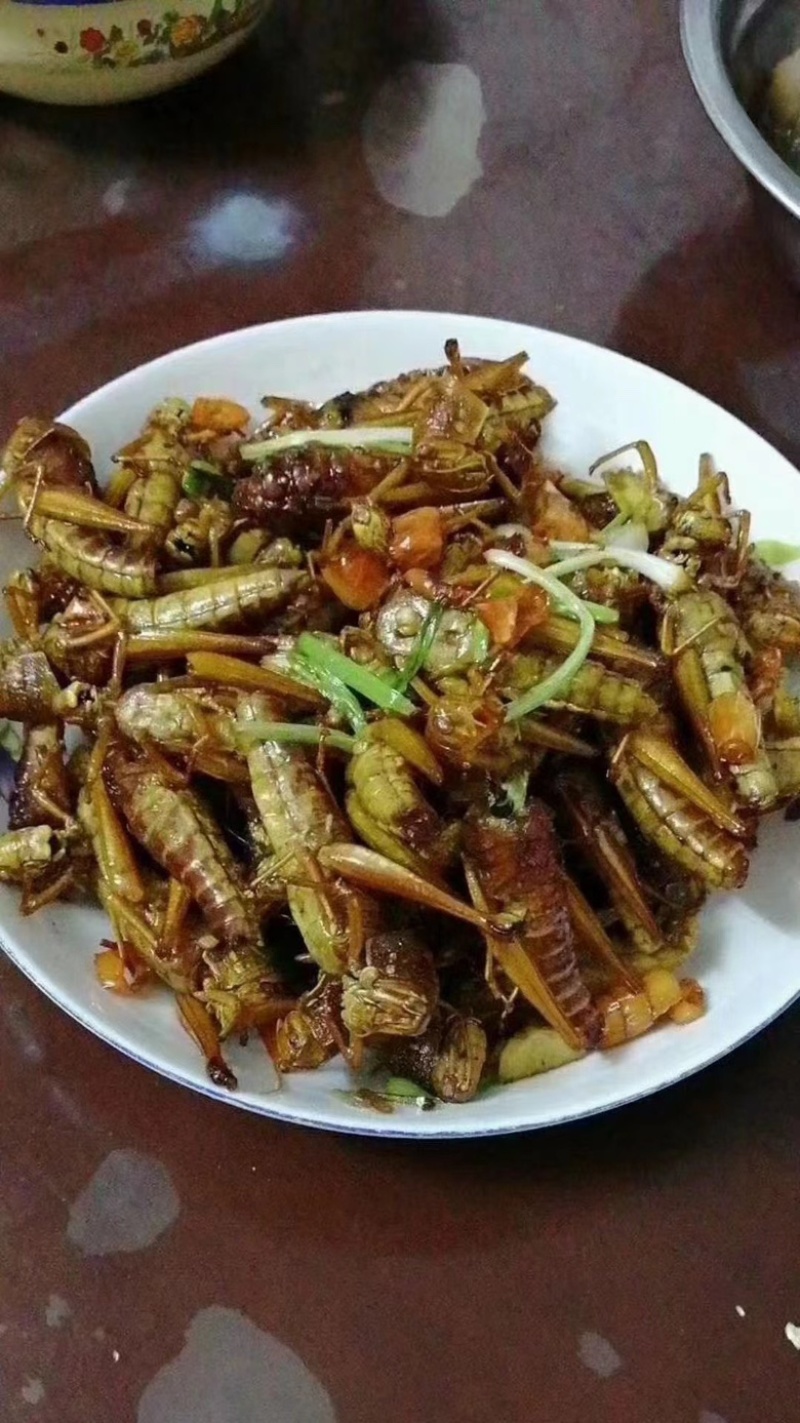 蚂蚱蝗虫批发新鲜烧烤昆虫油炸高蛋白蚱蜢新鲜活冻蚂蚱