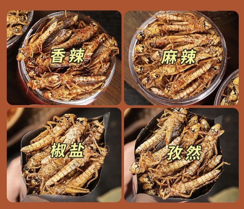 蚂蚱蝗虫批发新鲜烧烤昆虫油炸高蛋白蚱蜢新鲜活冻蚂蚱