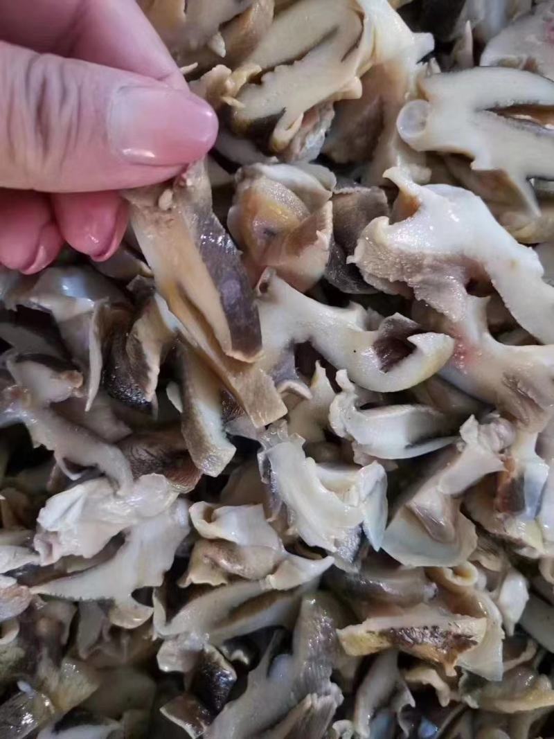 玉螺肉