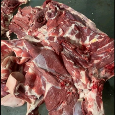 高原藏系羊肉/产地直发/量大价优/草原羊肉/欢迎致电