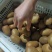 眉县冷库果徐香猕猴桃90克以下