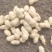 机洗白米花生，泥子花生大量供应，需要联系，基地每天发货