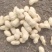 机洗白米花生，泥子花生大量供应，需要联系，基地每天发货
