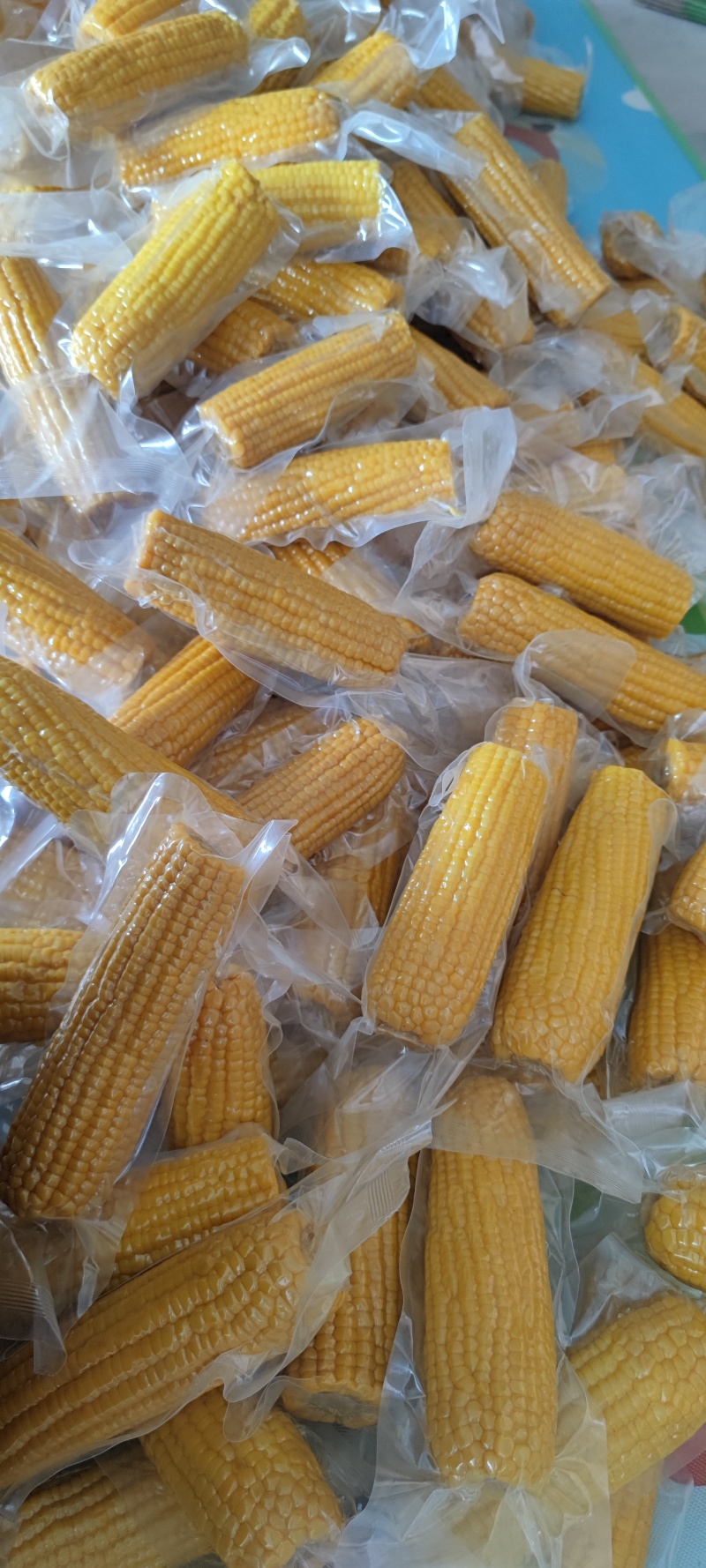 金银苞金银花甜玉米水果玉米真空包装开袋即食批量一件代发