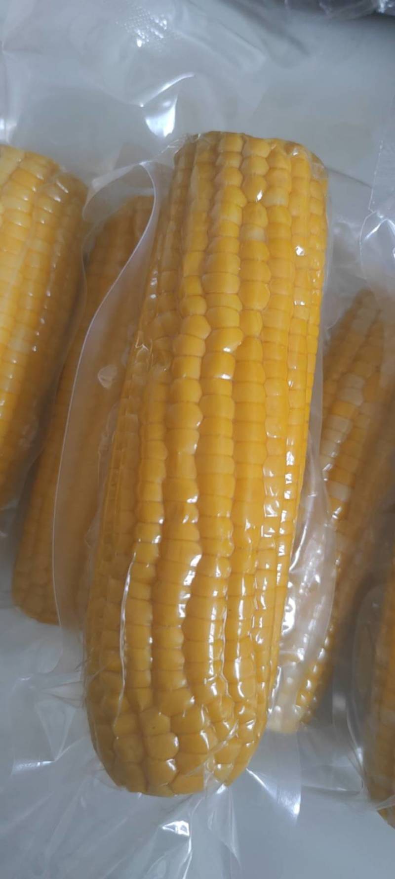 金银苞金银花甜玉米水果玉米真空包装开袋即食批量一件代发