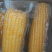 金银苞金银花甜玉米水果玉米真空包装开袋即食批量一件代发