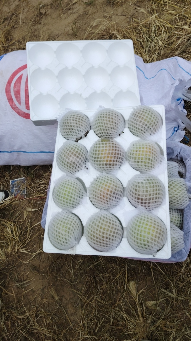 山西大宁县雨露香梨，个大，皮薄脆甜爆汁，口感相当好