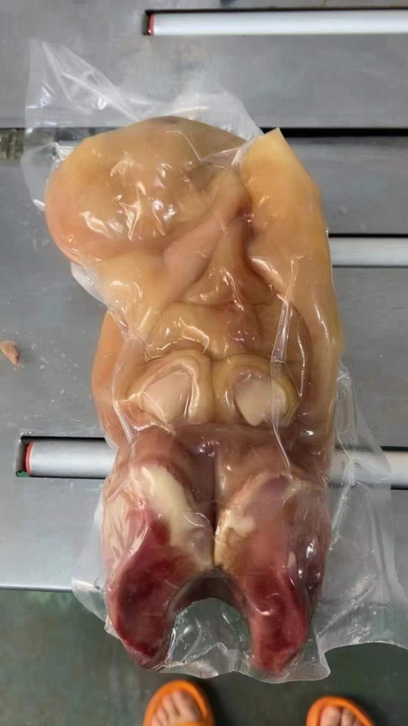 去骨熟牛蹄纯火烧，筋都带着每天新货，屠宰场大公牛蹄实图拍