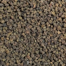吴茱萸精品中花味道浓郁今年新货