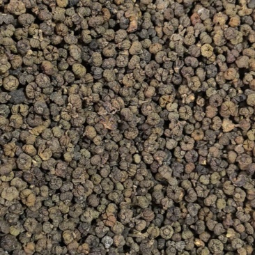 吴茱萸精品中花味道浓郁今年新货