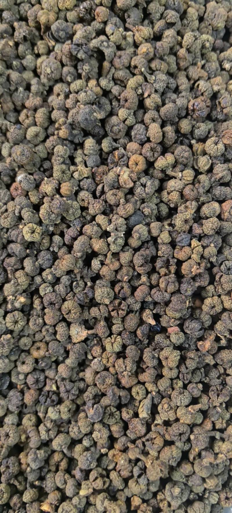 吴茱萸精品中花味道浓郁今年新货
