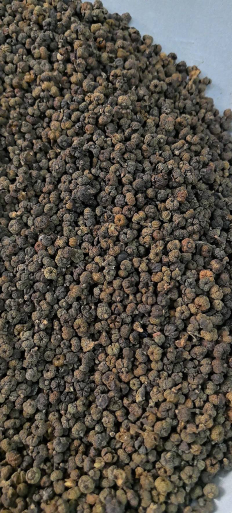 吴茱萸精品中花味道浓郁今年新货