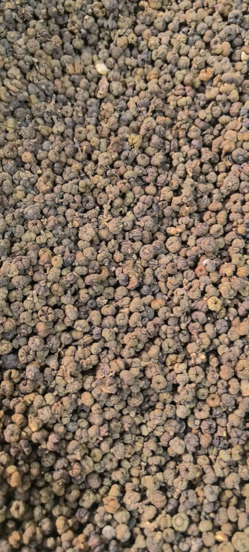 吴茱萸精品中花味道浓郁今年新货