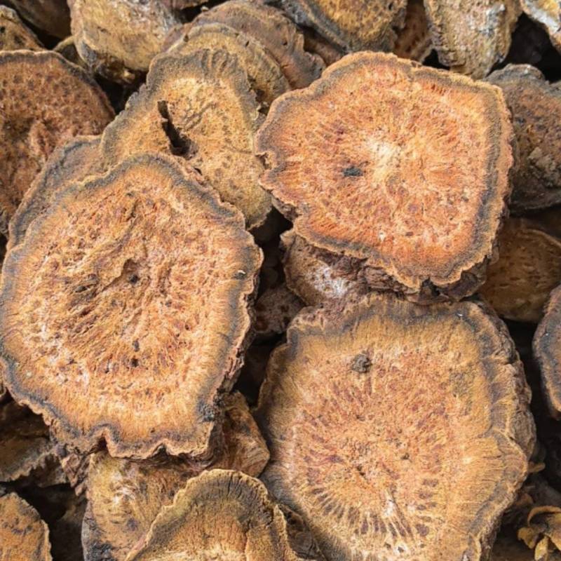 马蹄大黄选片没有碎的地方药材专注品质产地直销