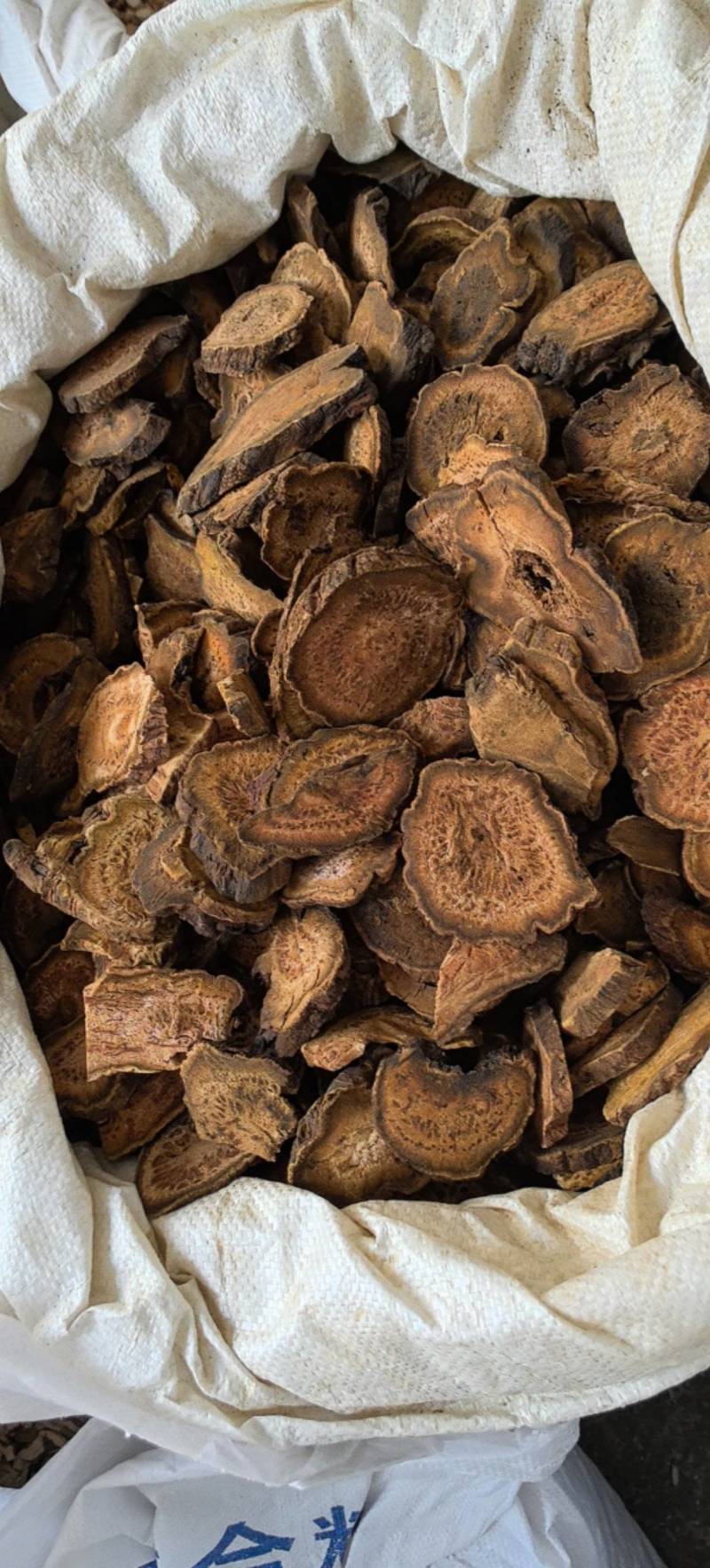 马蹄大黄选片没有碎的地方药材专注品质产地直销