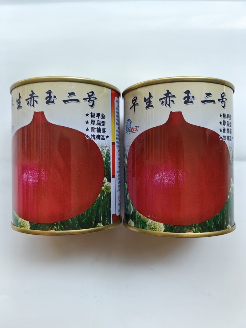 早生赤玉2号洋葱种子杂交早熟扁平耐抽苔紫红皮高产甜脆洋葱