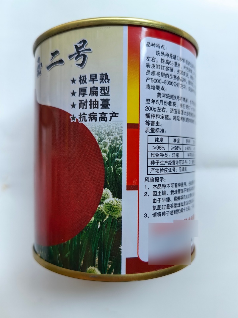 早生赤玉2号洋葱种子杂交早熟扁平耐抽苔紫红皮高产甜脆洋葱