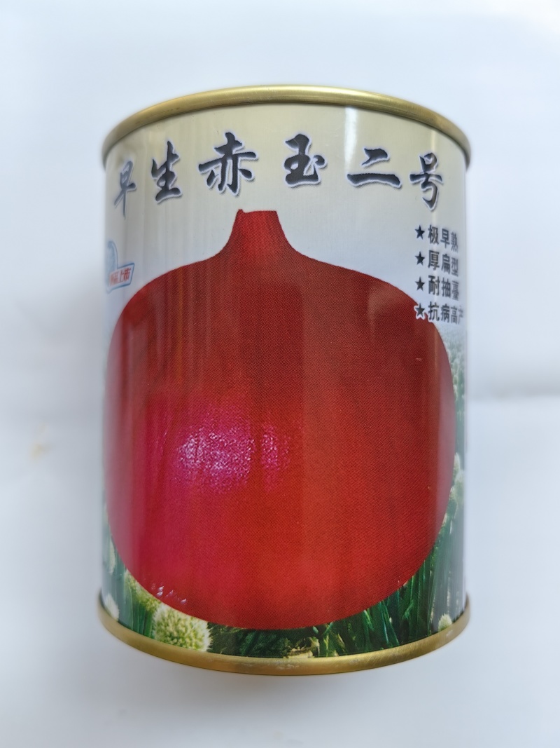 早生赤玉2号洋葱种子杂交早熟扁平耐抽苔紫红皮高产甜脆洋葱
