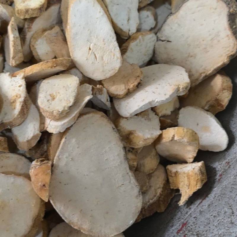 天花粉产地河北地道药材统货新货上市质量上乘