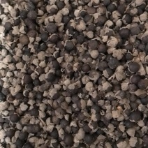 蔓荆子江西蔓荆子进口蔓荆子规格齐全地道药材味道浓