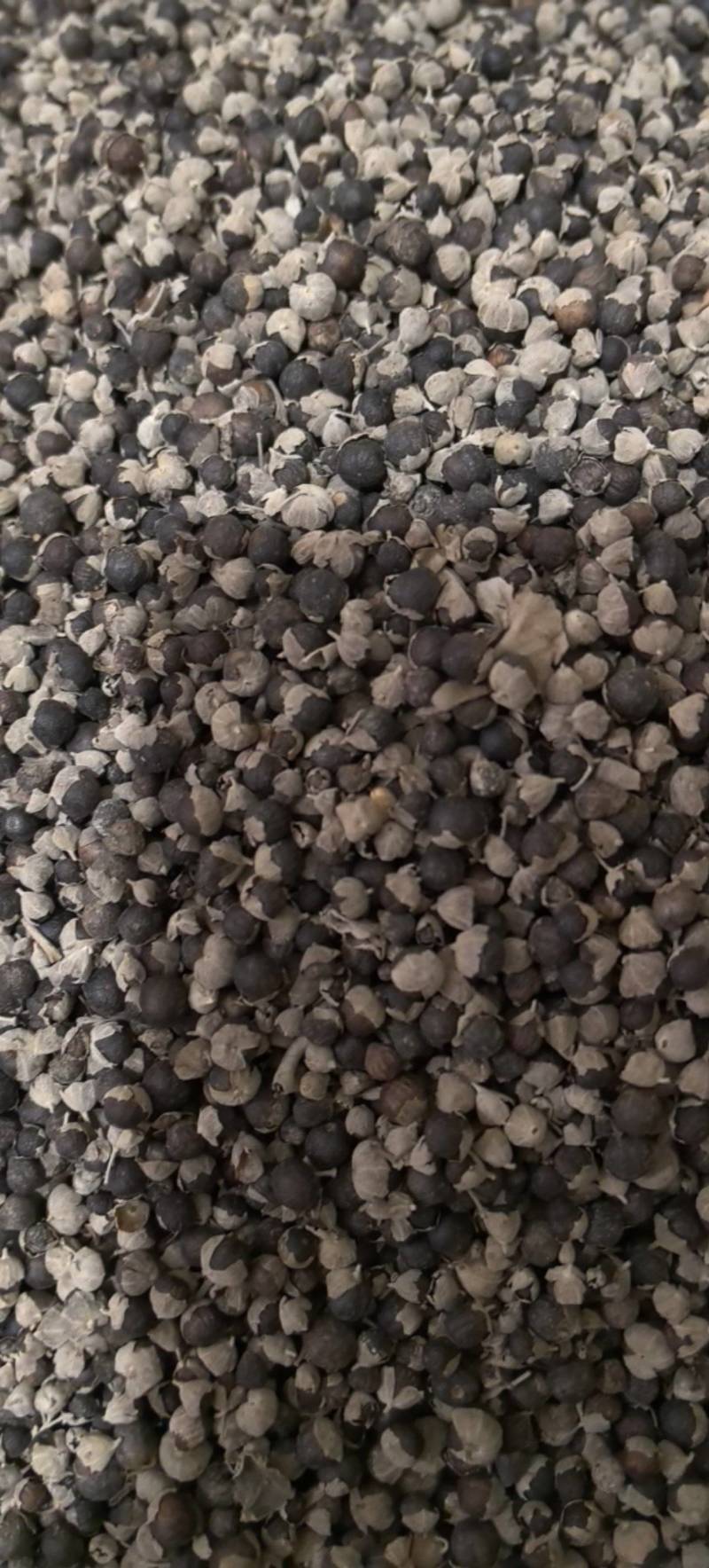蔓荆子江西蔓荆子进口蔓荆子规格齐全地道药材味道浓