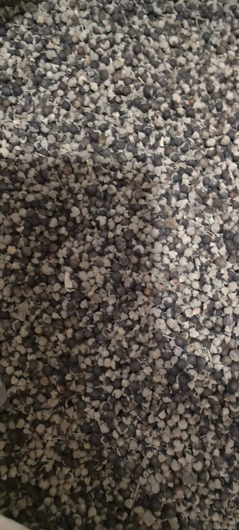 蔓荆子江西蔓荆子进口蔓荆子规格齐全地道药材味道浓