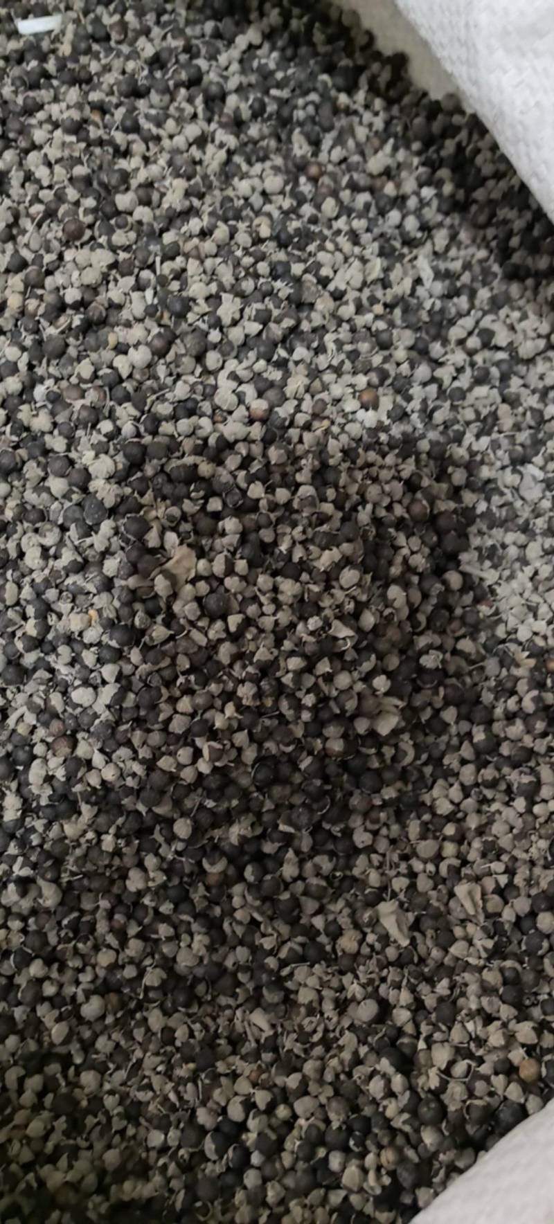 蔓荆子江西蔓荆子进口蔓荆子规格齐全地道药材味道浓