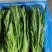 精品，云南，油麦菜，