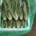 精品，云南，油麦菜，