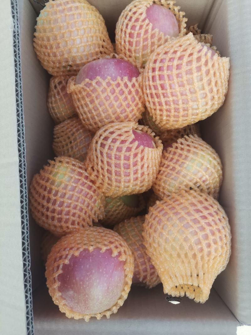 新红星苹果热销中，欢迎新老客户