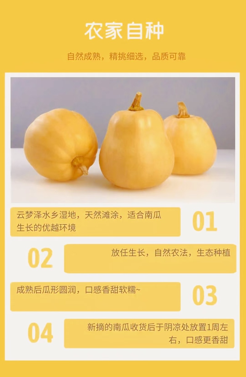 雨叁黔水果小南瓜量大从优质量保证诚信经营欢迎咨询