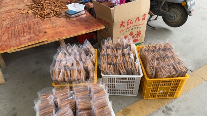 烟桂