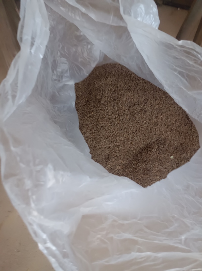 精品赣南粉防己种子