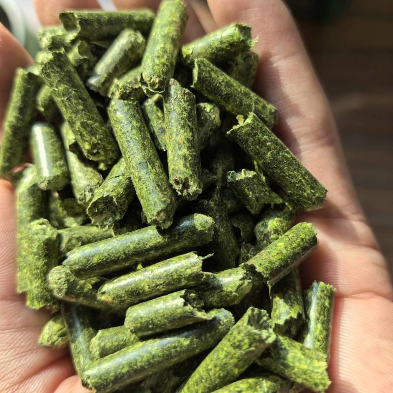 苜蓿草颗粒
