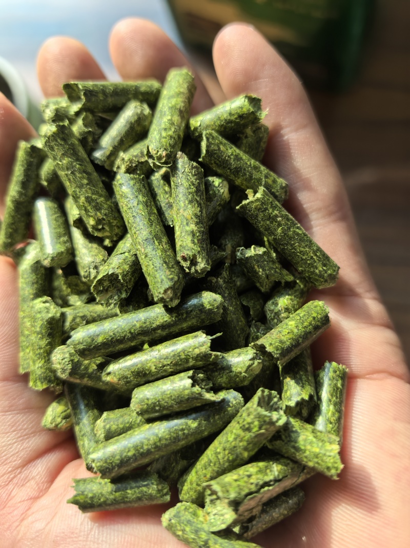 苜蓿草颗粒