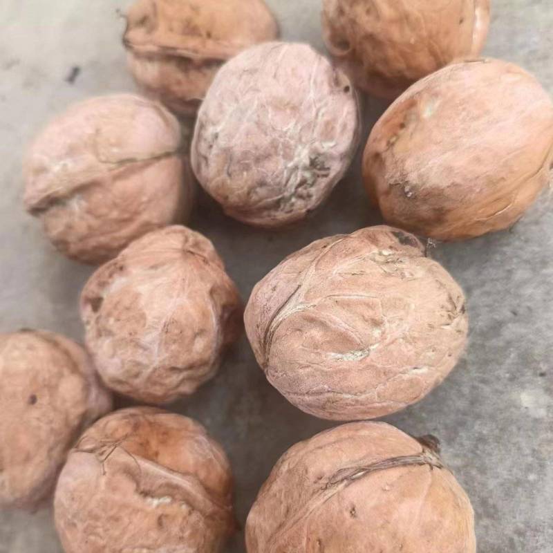 鲜核桃果