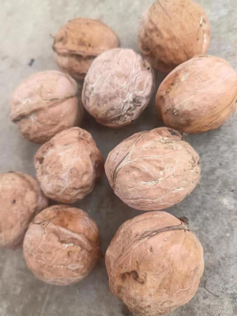 鲜核桃果