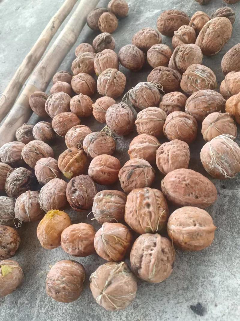 鲜核桃果
