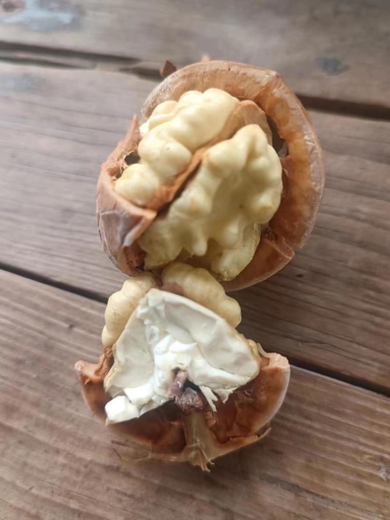 鲜核桃果