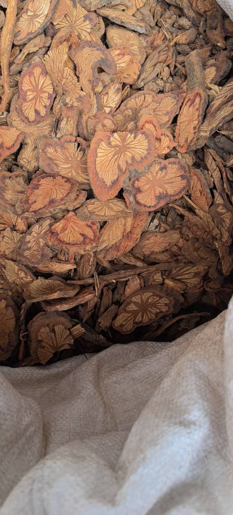 红藤大血藤斜片红藤现货有售