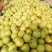 金顶谢花酥梨贡梨安徽酥梨商超电商供货代收代发全国市场