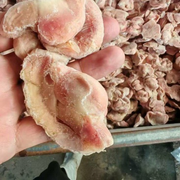 鸡胗