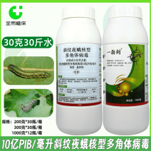 一指剑斜纹夜蛾多角体病毒甘蓝斜纹夜蛾青虫农药杀虫剂