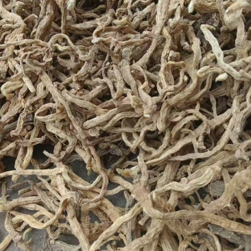 野生玉竹条，无硫加工，自然风干，煲汤炖肉不二之选