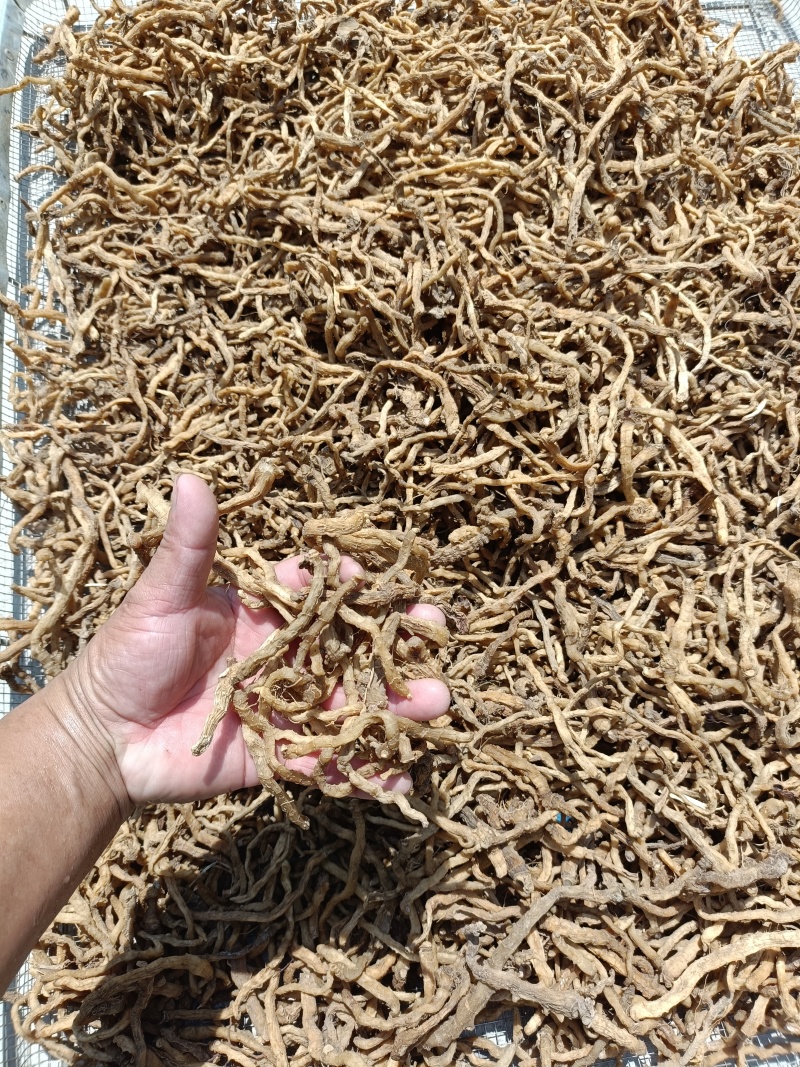 野生玉竹条，无硫加工，自然风干，煲汤炖肉不二之选